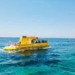 Paphos: Swim Cruise with Turtle Watching, Drinks & Aperol - Value and Experience