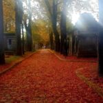 Père-Lachaise : histoires et mystères contés par un comédien - What Do You Get for the Price?