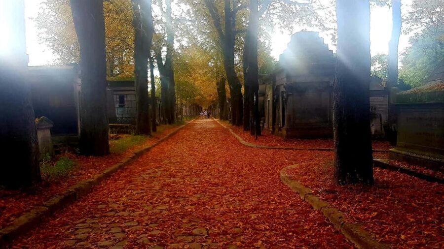 Père-Lachaise : histoires et mystères contés par un comédien - What Do You Get for the Price?