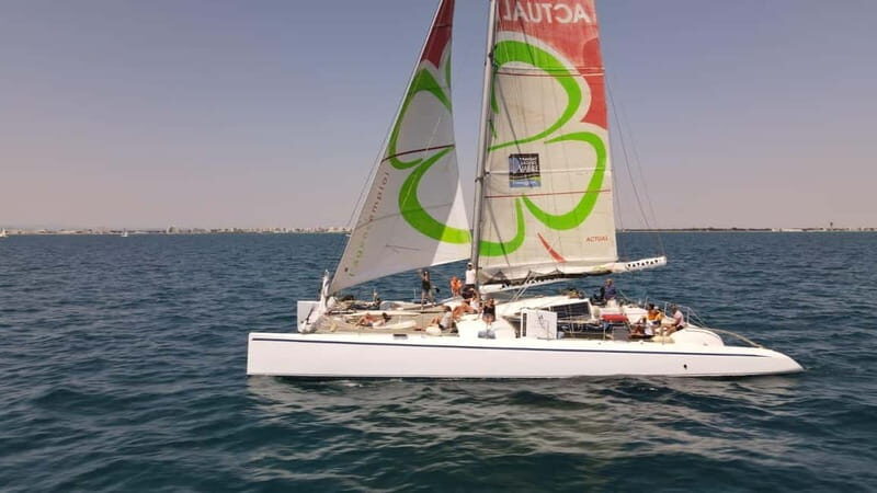 Port Camargue: Half-Day Sailing Tour on a Racing Catamaran - Detailed Breakdown of the Experience