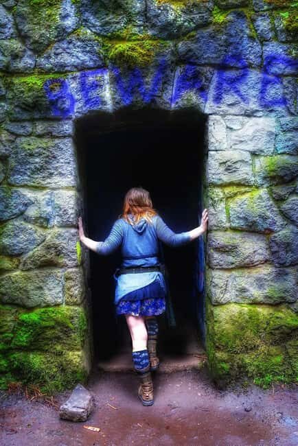 Portland: Forest Park Guided Hike with Witches Castle - How the Tour is Structured