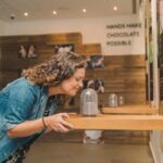 Porto: Chocolate Museum - Unwrap the Secrets of Chocolate - Who Will Love This Tour?