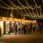 Porto: Christmas Lights Private & Flexible Walking Tour - Why This Tour Works Well for Travelers