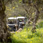 Porto: Dirt and Dust Tour by Oporto Buggy - What You’ll Feel