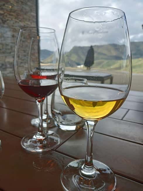 Porto: Douro Valley Half-Day Wine and Food Tour - Visiting the Douro Valley: Estate Tour and Tasting