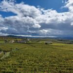 Porto: Douro Valley Tour by Private Car - Frequently Asked Questions