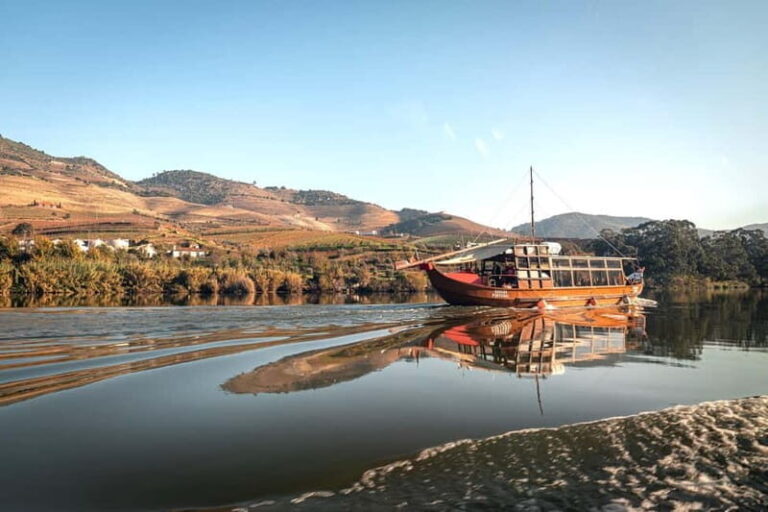 Porto: Douro Wine Tour with Lunch and River Cruise - Who Is This Tour Best For?