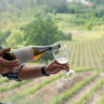 Porto: Green Wine Tasting and visit - Why This Tour Stands Out