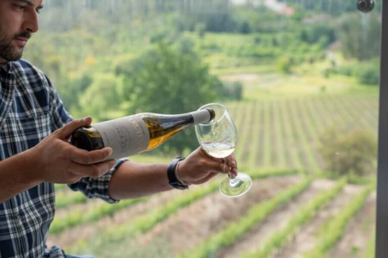 Porto: Green Wine Tasting and visit - Why This Tour Stands Out