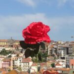 Porto: Guided Walking Tour with Clérigos Church - What’s Included and What to Expect