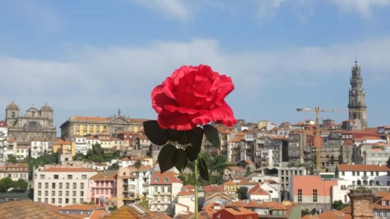 Porto: Guided Walking Tour with Clérigos Church - What’s Included and What to Expect