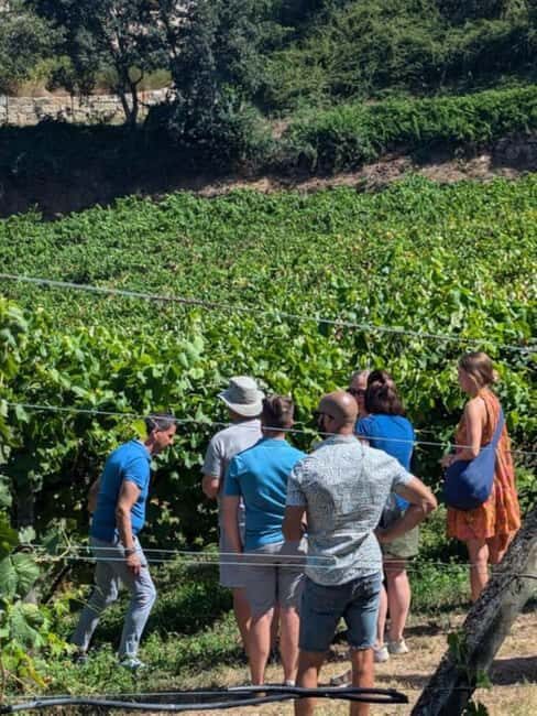 Porto: Private Douro Valley tour with lunch, wine tasting, and a cruise - 2 wineries - Why this Tour Works