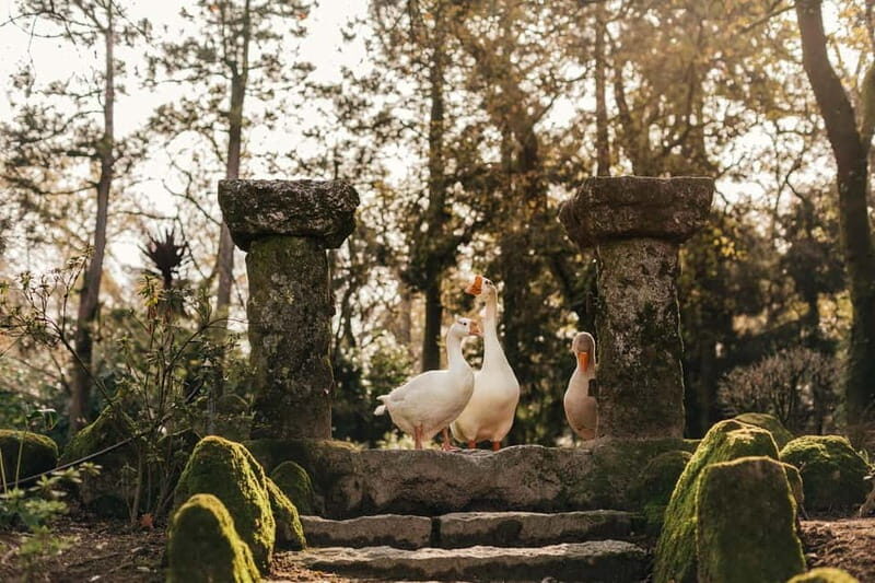 Porto: Qta da Aveleda Enchanted Gardens & Green Wine - The Gardens: Nature’s Fairy Tale