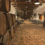 Porto: Régua Cruise with Train Ride and Wine Tasting - Practical Details and What to Expect