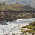 Porto/Regua/Porto (and reverse): Douro River Cruise + Lunch - What’s the experience really like?