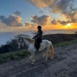 Porto Santo Island: Horse Riding - The Review in Context