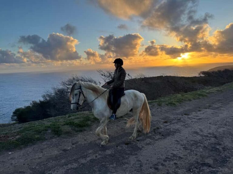 Porto Santo Island: Horse Riding - The Review in Context
