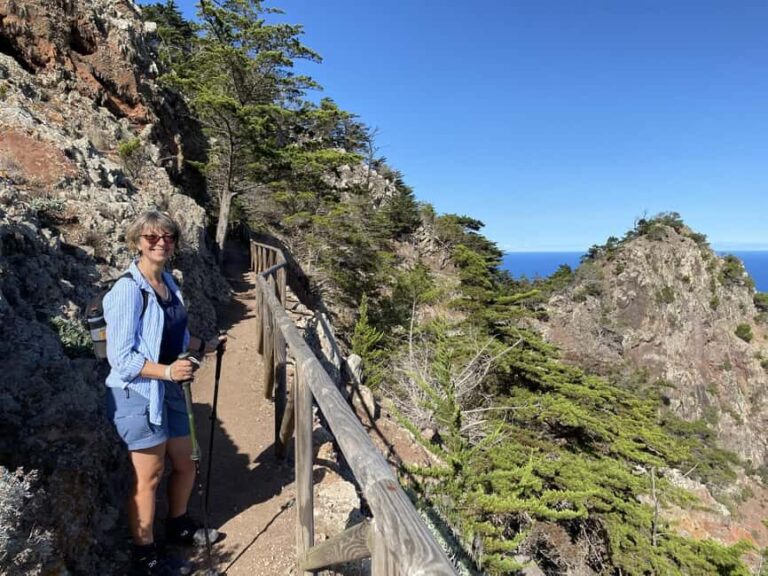 Porto Santo: Pico Branco and Terra Cha Guided Mountain Hike - The Itinerary: What to Expect