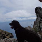 Porto Santo: Terra Chã and Pico Branco Hiking tour - Who Should Consider This Tour?