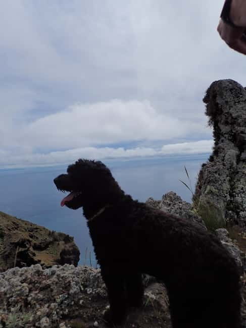 Porto Santo: Terra Chã and Pico Branco Hiking tour - Who Should Consider This Tour?