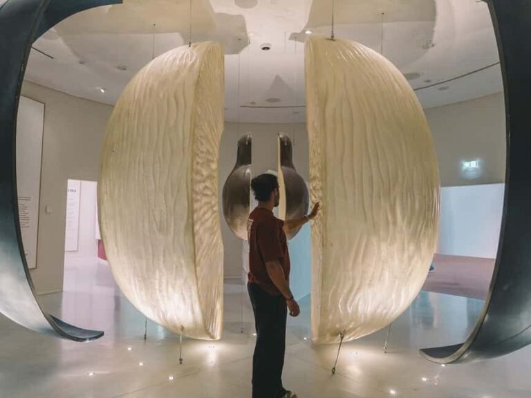 Porto: The Wine Experience, Best Wine Museum in the World - What to Expect on Your Visit