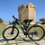 Porto Torres: rent your mountain bike to discover Asinara - The route and what to expect