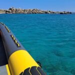 Porto-Vecchio : Discover Nature Through the Lavezzi Islands - The Itinerary: What to Expect