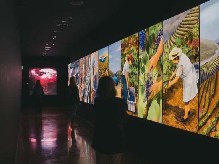 Porto: Wine Experience & Personalised Tasting at Wine School - Who Will Love This Tour?