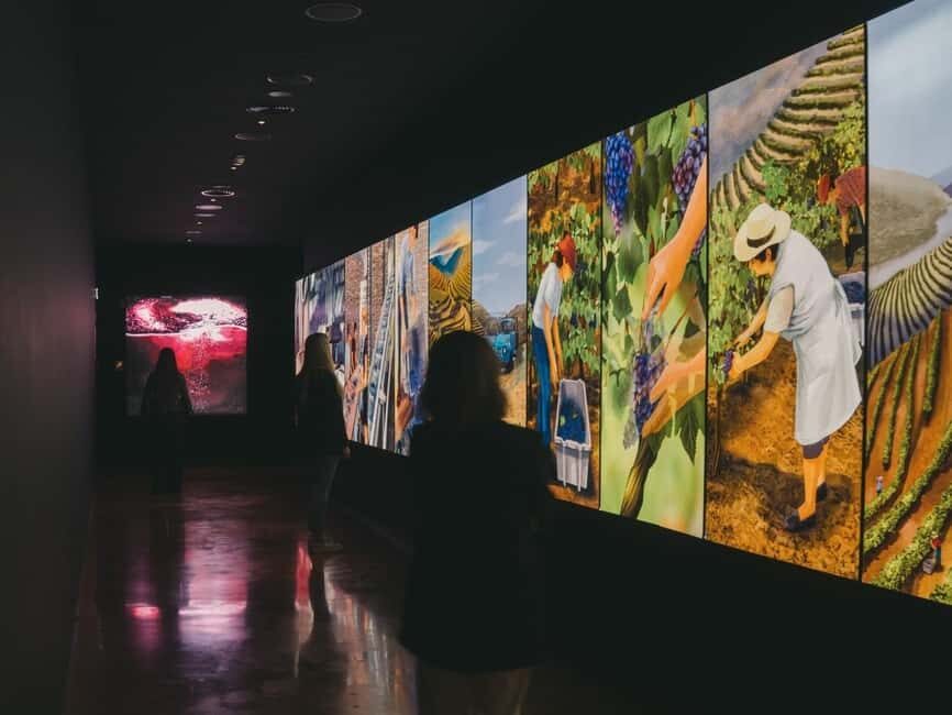 Porto: Wine Experience & Personalised Tasting at Wine School - Who Will Love This Tour?