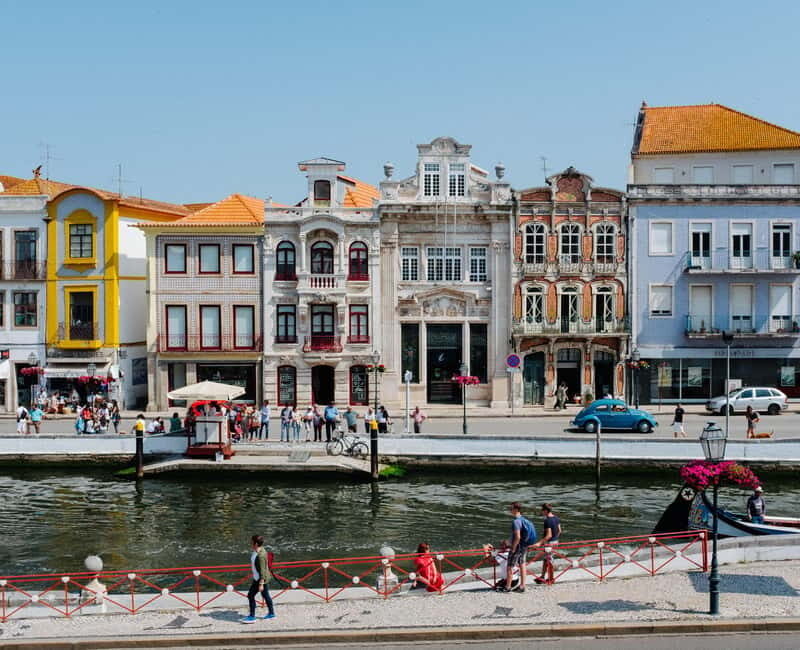 Porto:Aveiro, Cruise, Costa Nova & Capelha da Pedra Full Day - What to Expect During the Day