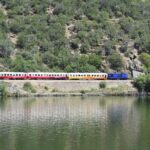 Portugal: 2 days in the Douro Valley with Harvest experience - Final Thoughts: Who Is This Tour For?