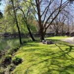 Portugal: Lafões Region Day Tour with Food and Wine Tasting - A Deep Dive into the Lafões Day Tour