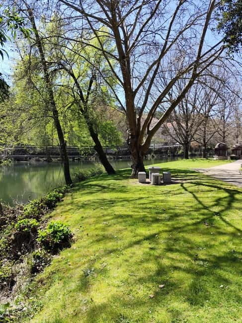 Portugal: Lafões Region Day Tour with Food and Wine Tasting - A Deep Dive into the Lafões Day Tour