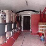 Pozzolengo: Vineyard tour and tasting of typical Garda wines - Who Should Consider This Tour?