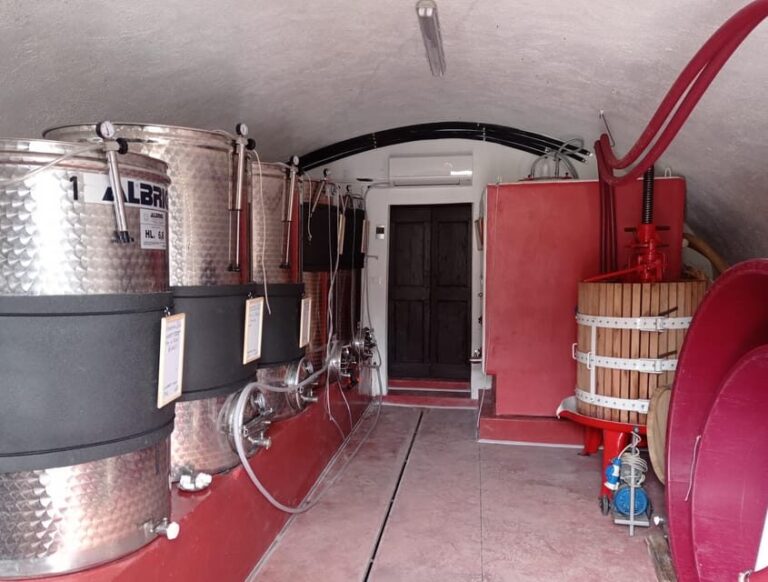 Pozzolengo: Vineyard tour and tasting of typical Garda wines - Who Should Consider This Tour?