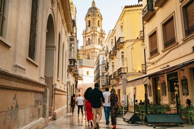 PREMIUM TAPAS TOUR: Tapas, Paella and Winery - Exploring Malaga’s Flavors—What You Can Expect