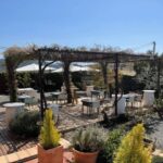 Priorat tour to 3 small wineries and hotel pick-up - When to Book and How to Prepare