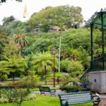 Private Angra do Heroísmo: Walking CityTour with Tasting - The Itinerary: A Detailed Breakdown