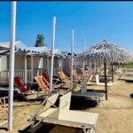 Private Beach Day from St. Marks Square: Enjoy Sun & Relax - Discovering Pachuka Beach Club: The Heart of the Experience