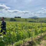 Private Beaujolais Wine Tour - Detailed Breakdown of the Itinerary
