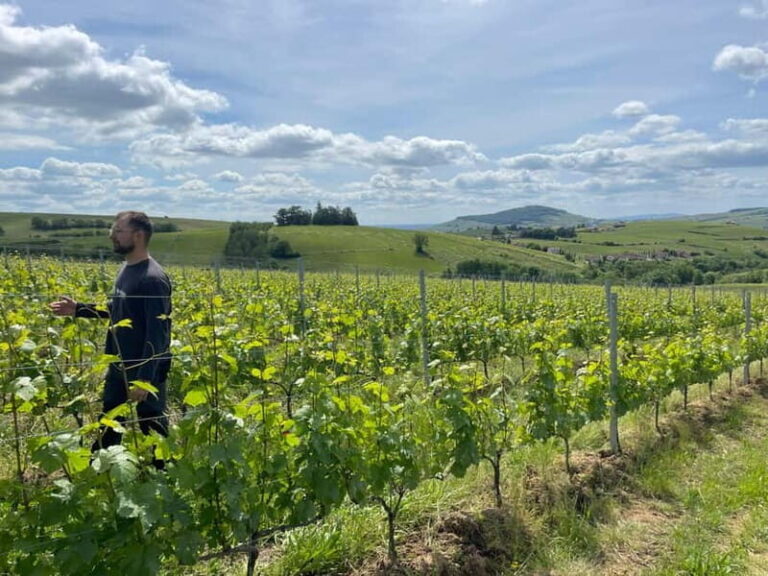 Private Beaujolais Wine Tour - Detailed Breakdown of the Itinerary