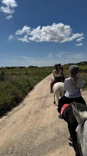 Private Chianti Horseback Riding Wine Tasting + Lunch - A Deep Dive into the Experience