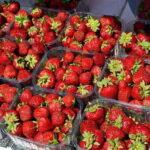 Private Cycle Tour in Helsinki, 4h - What to Expect and Practical Details