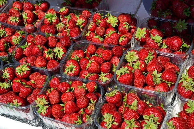 Private Cycle Tour in Helsinki, 4h - What to Expect and Practical Details