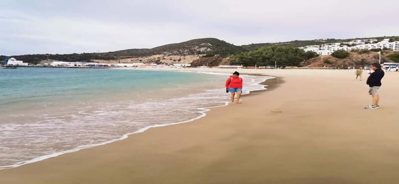 Private day tour Arrábida, Palmela Castle, tiles and Winery - Who Will Benefit Most?