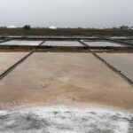 Private day tour of Olive Oil , Salt Flats and Winery - What to Expect from This Portuguese Day Tour