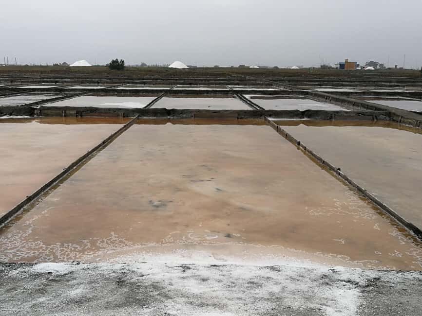 Private day tour of Olive Oil , Salt Flats and Winery - What to Expect from This Portuguese Day Tour