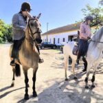 Private Day Tour Tagus River, olive oil, winery and horses - A Closer Look at the Itinerary and Experience