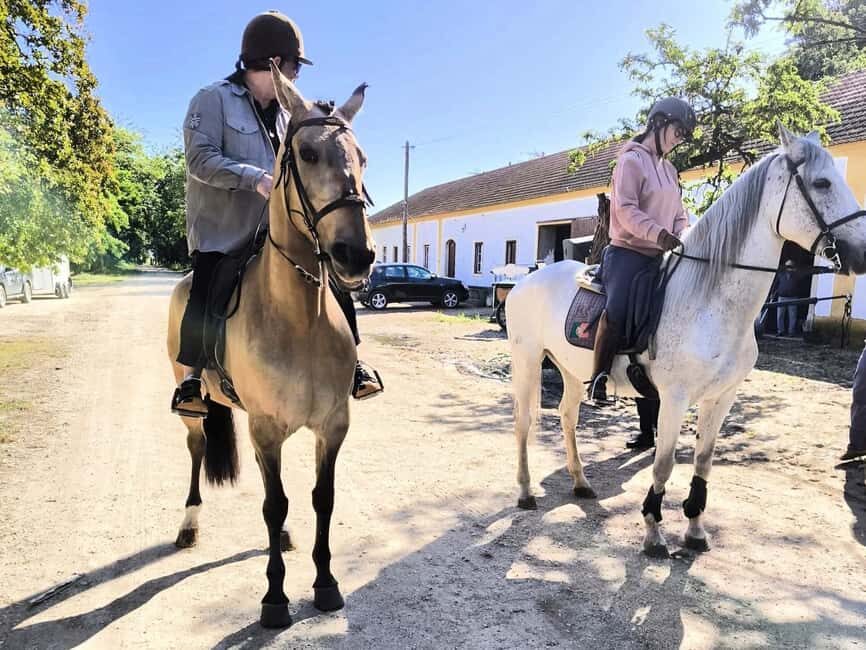Private Day Tour Tagus River, olive oil, winery and horses - A Closer Look at the Itinerary and Experience