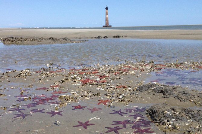 Private Dolphin Watch, Lighthouse and Ecological Boat Tours - Practical Details and Value